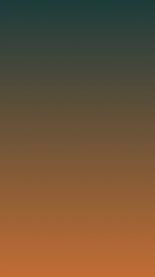 JANEDSON Background 4